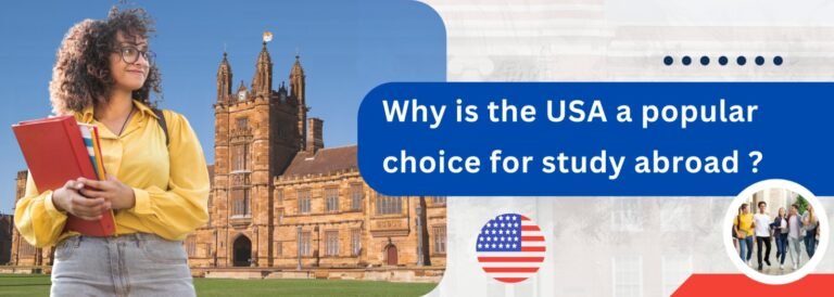 Why is the USA a popular choice for study abroad ?
